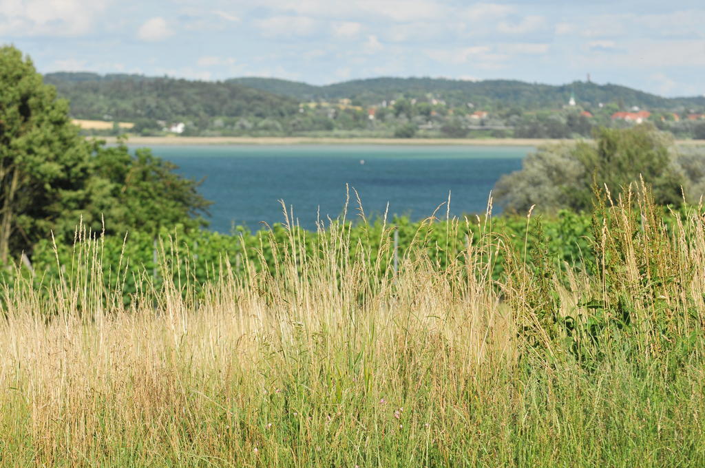 Hotel Mein Inselglueck Reichenau Exteriör bild